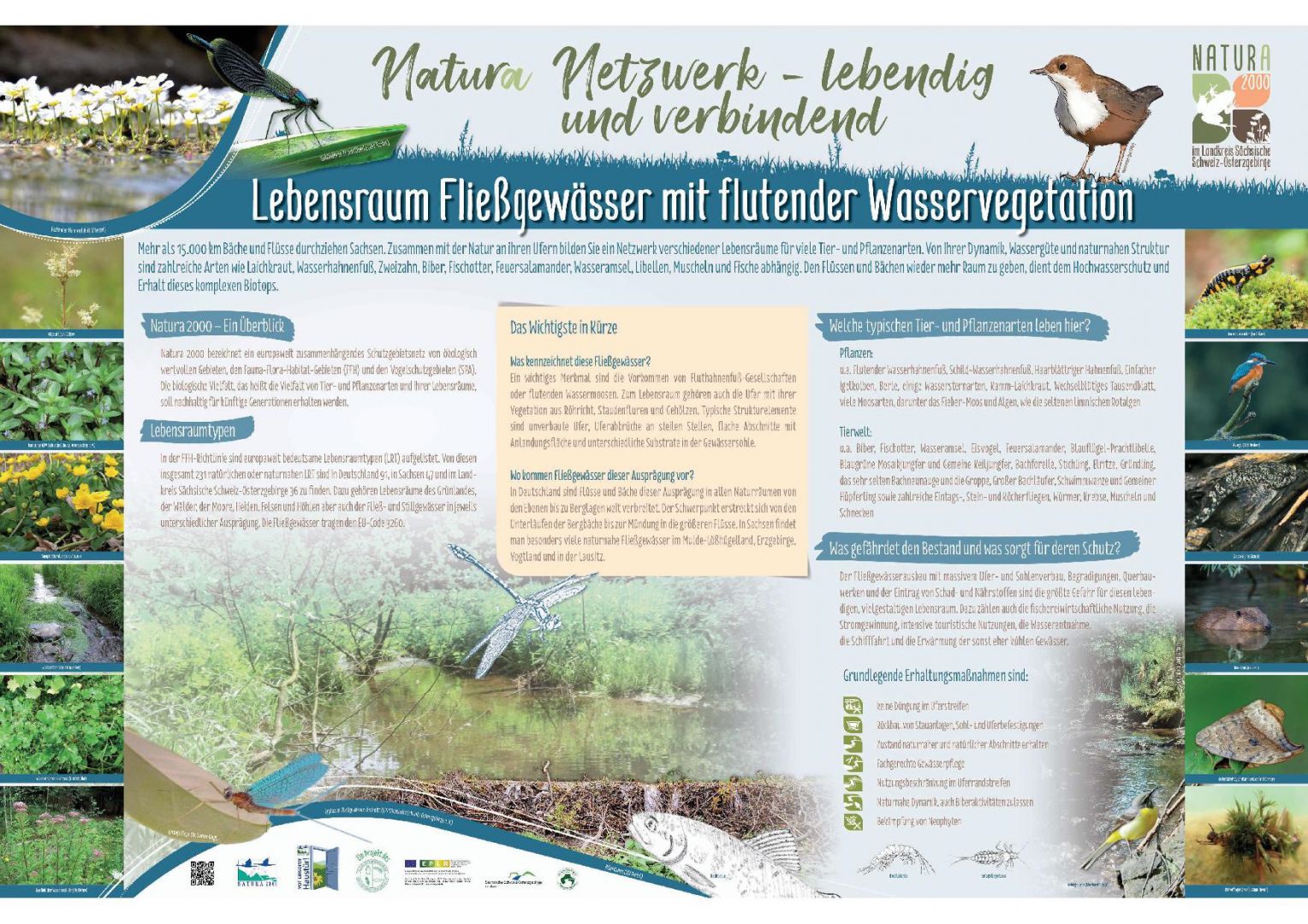 tl_files/downloads/Bilder Projekte/Projektstellen/Natura 2000 1.0/Tafeln/LRT Tafeln/LRT-Tafel_Fliessg.jpg